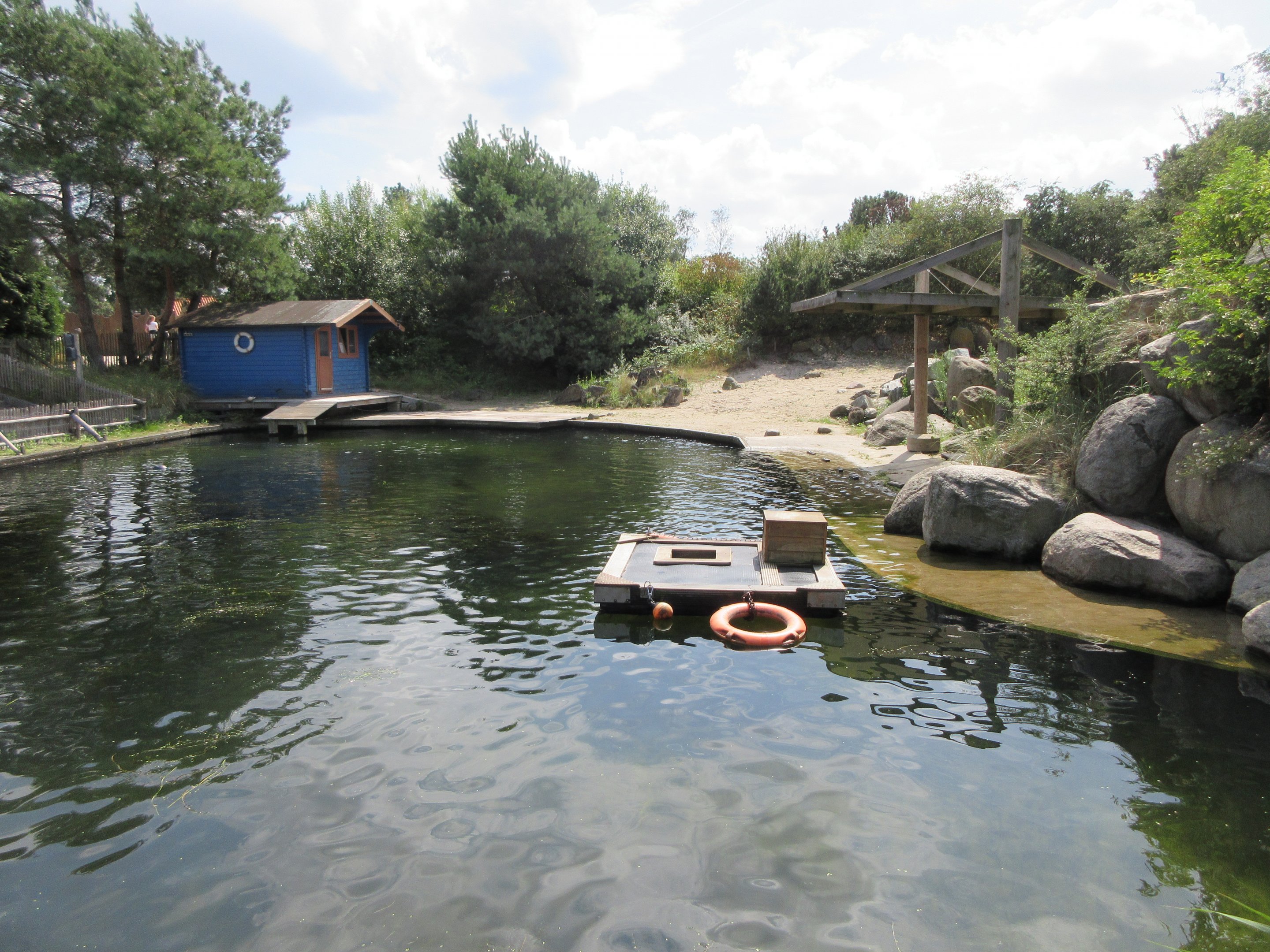 Harbour Seal Exhibit