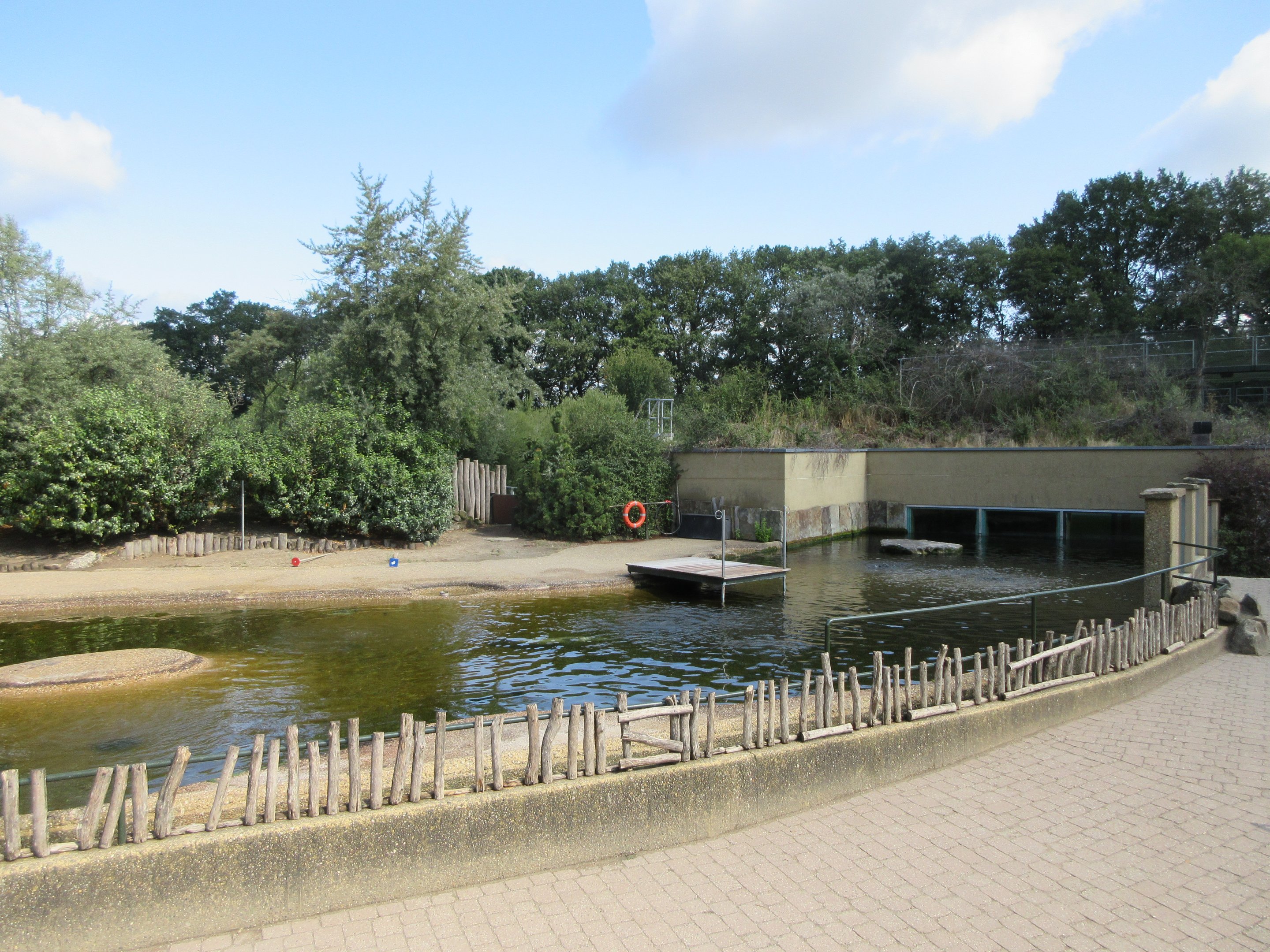 Harbour Seal Exhibit