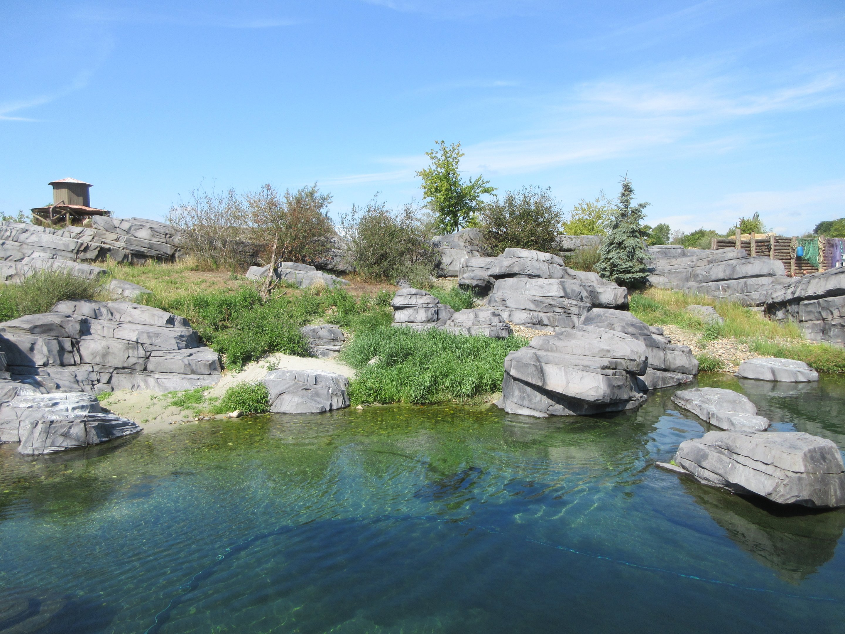 Harbour Seal Exhibit