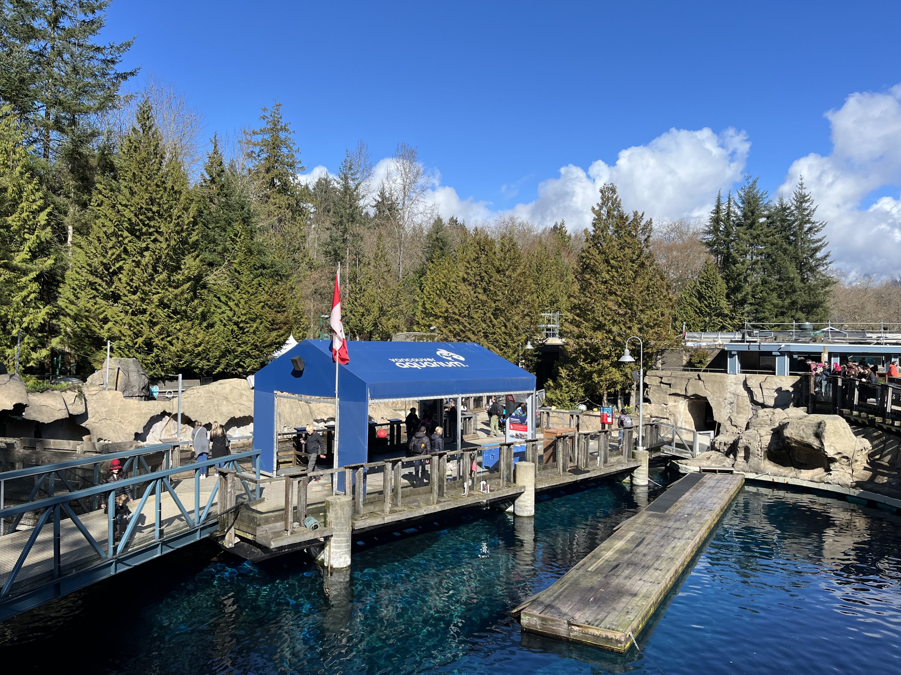 Harbour Seal Exhibit