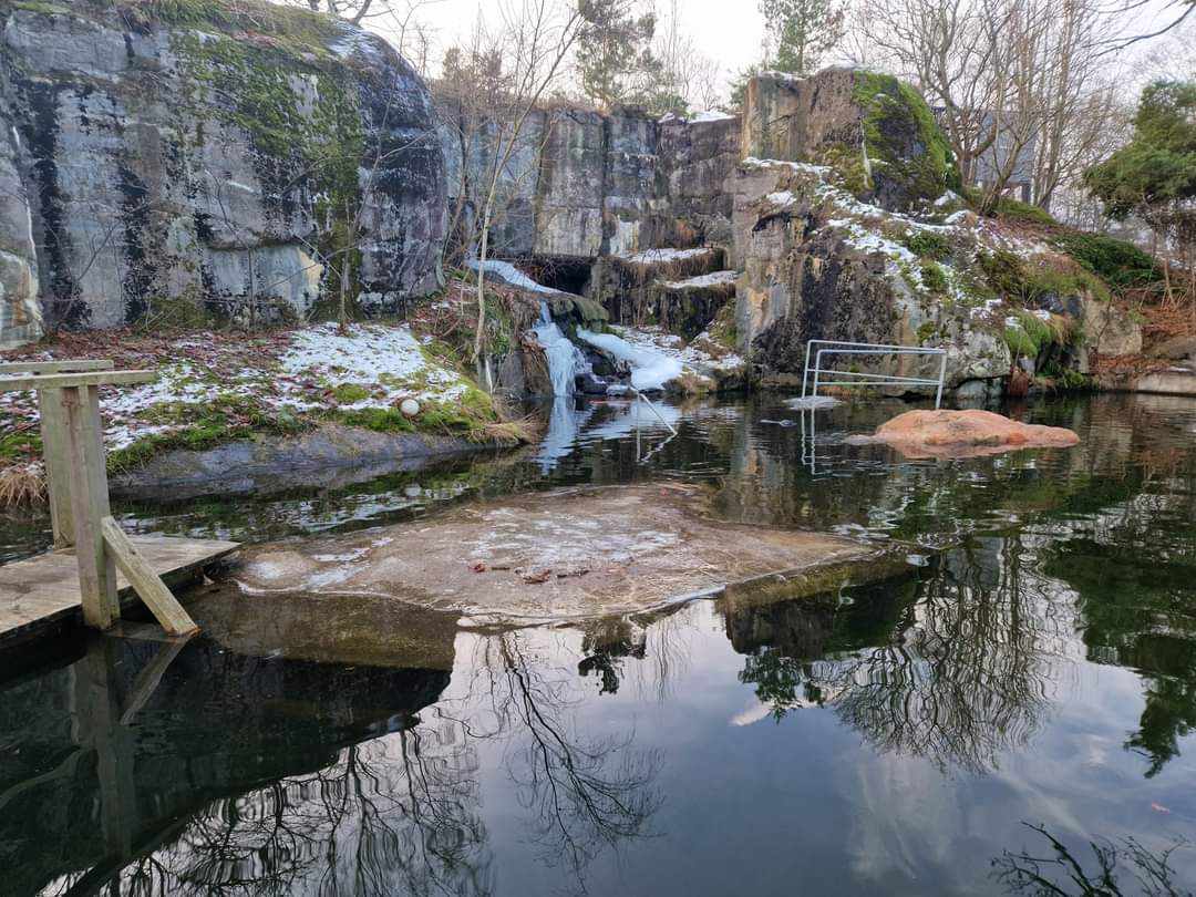 Harbour Seal exhibit