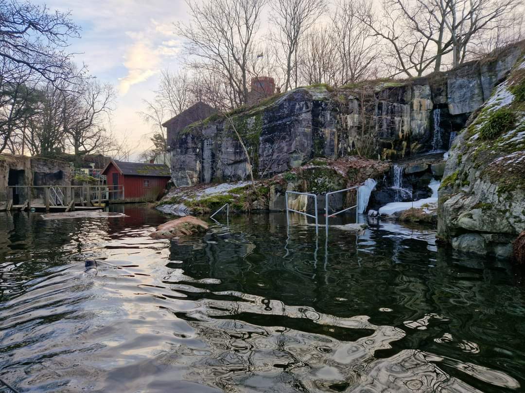 Harbour Seal exhibit