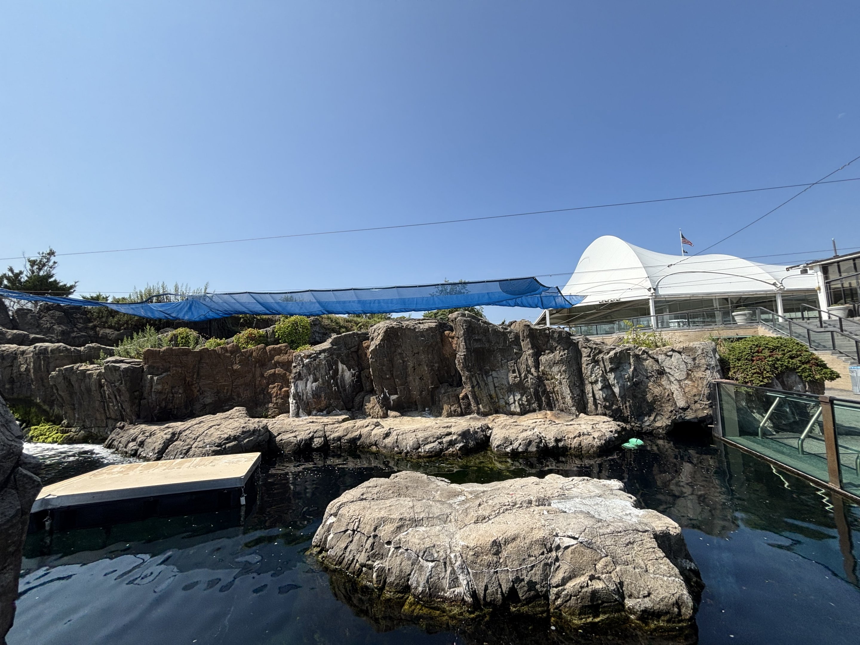 Harbour Seal Exhibit
