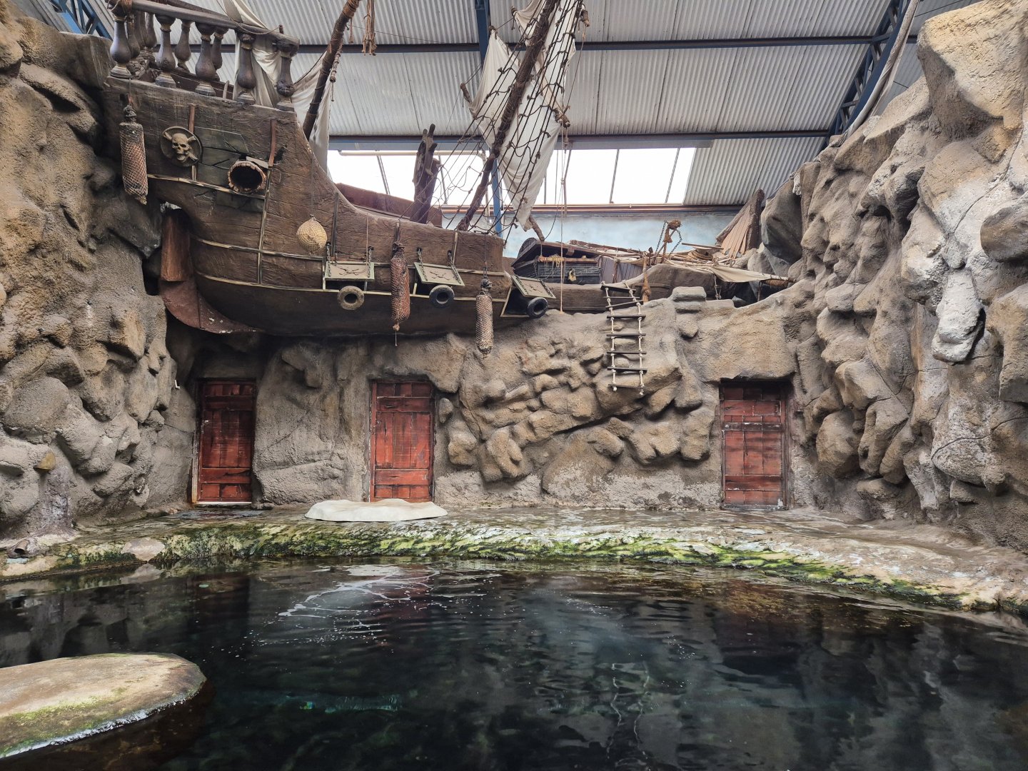 Harbour Seal exhibit