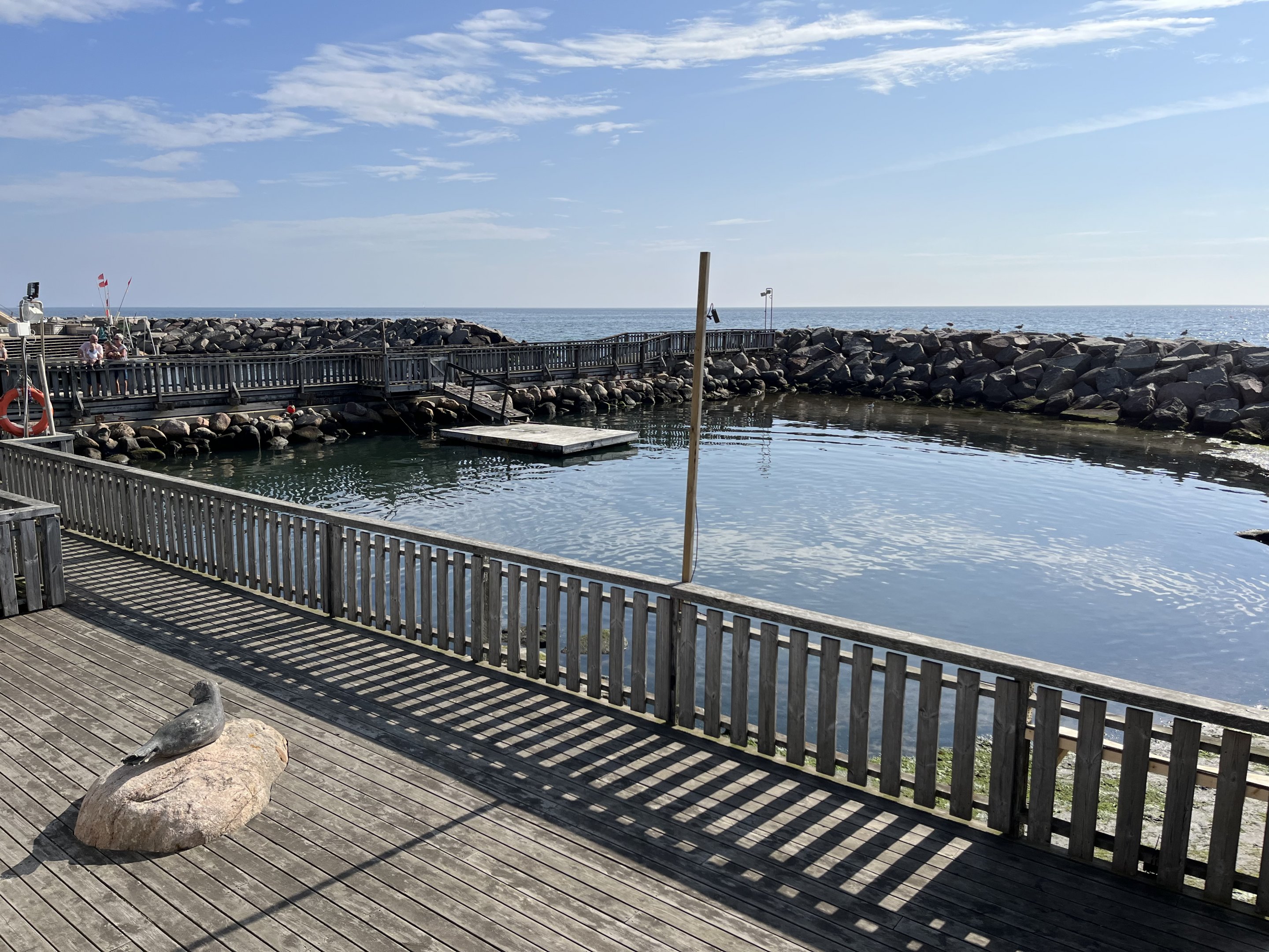 Harbour Seal/Grey Seal Exhibit