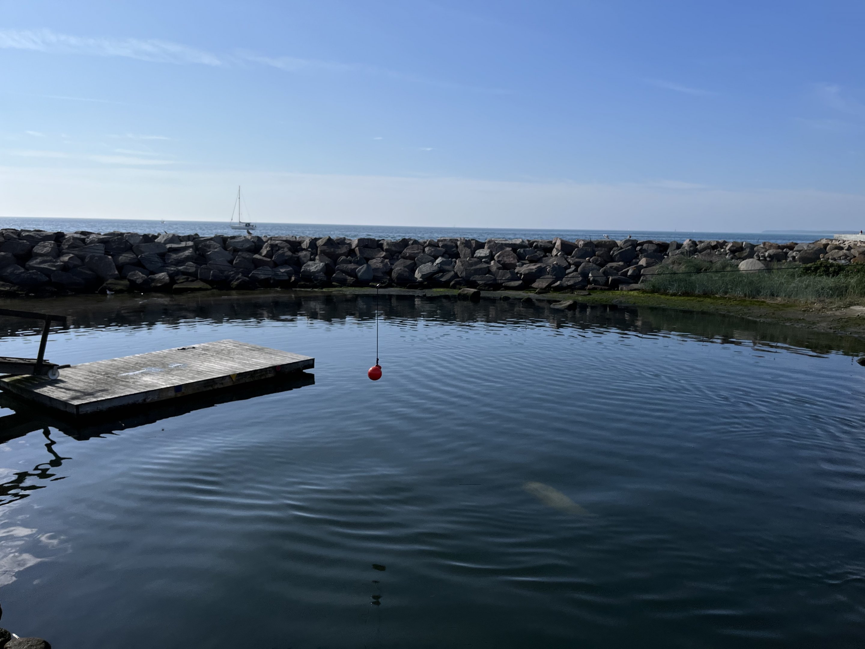 Harbour Seal/Grey Seal Exhibit