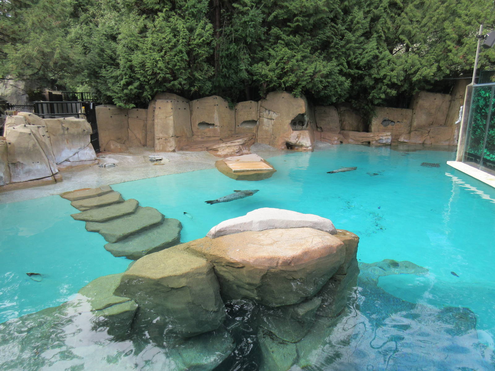 Harbour Seal/Northern Fur Seal Exhibit