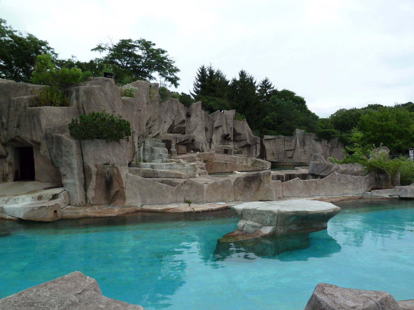 Harbour Seal + Polar Bear Exhibits