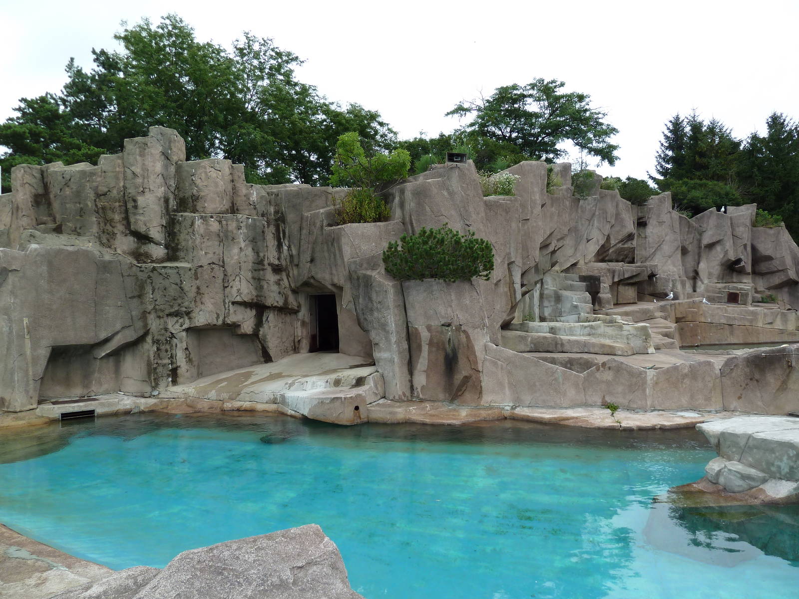 Harbour Seal + Polar Bear Exhibits