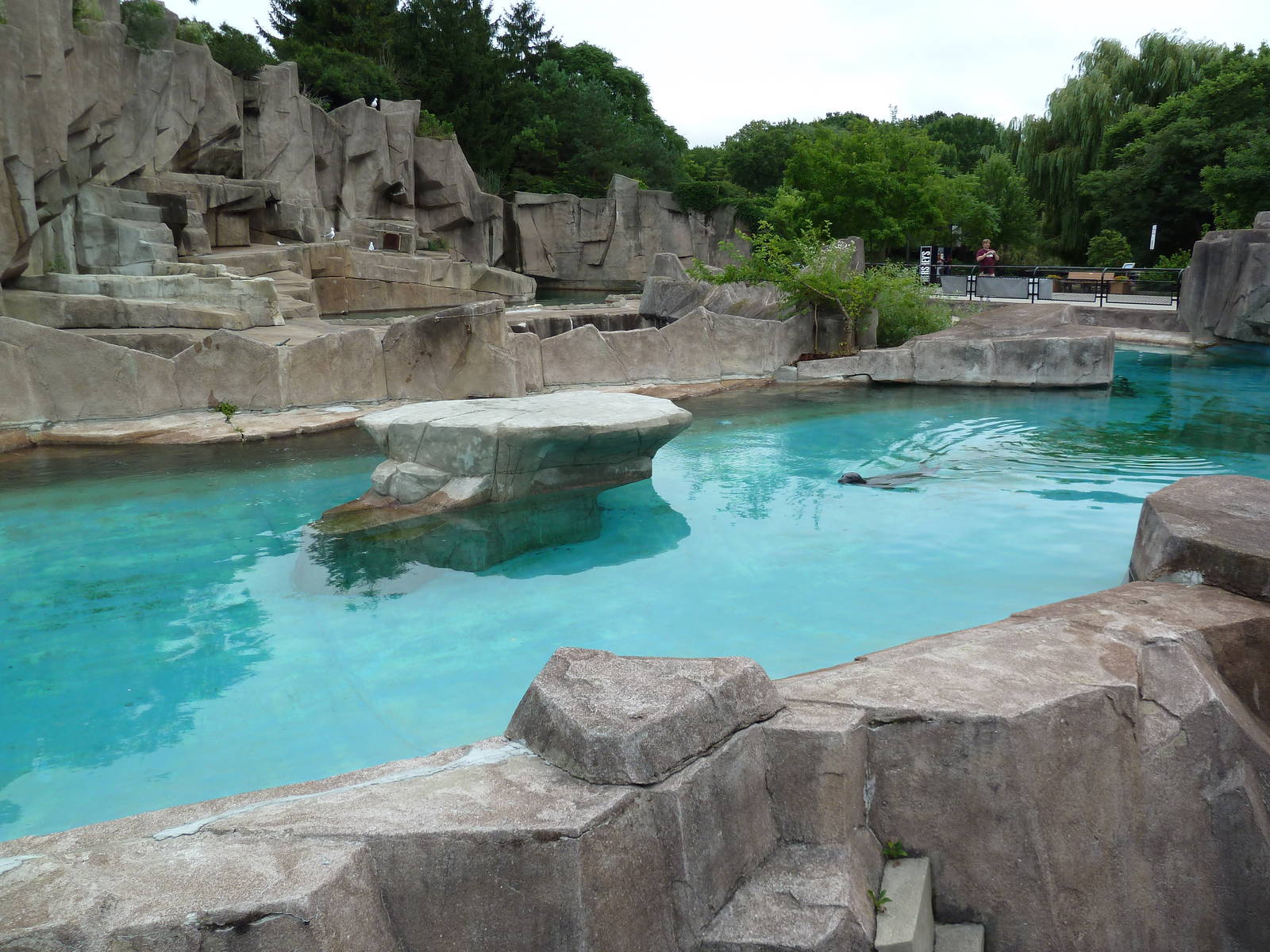 Harbour Seal + Polar Bear Exhibits
