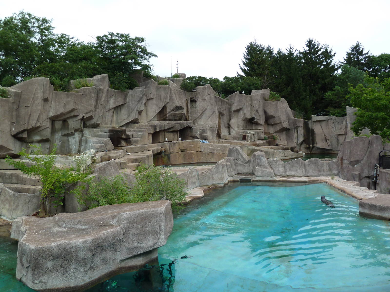 Harbour Seal + Polar Bear Exhibits