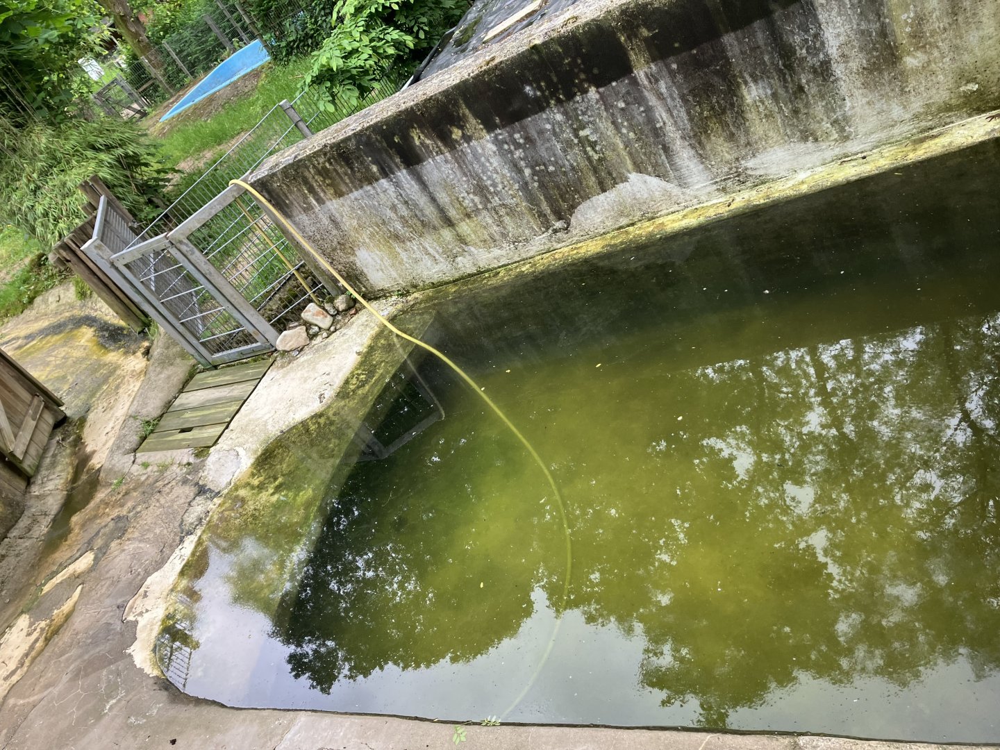 Harbour seal separations