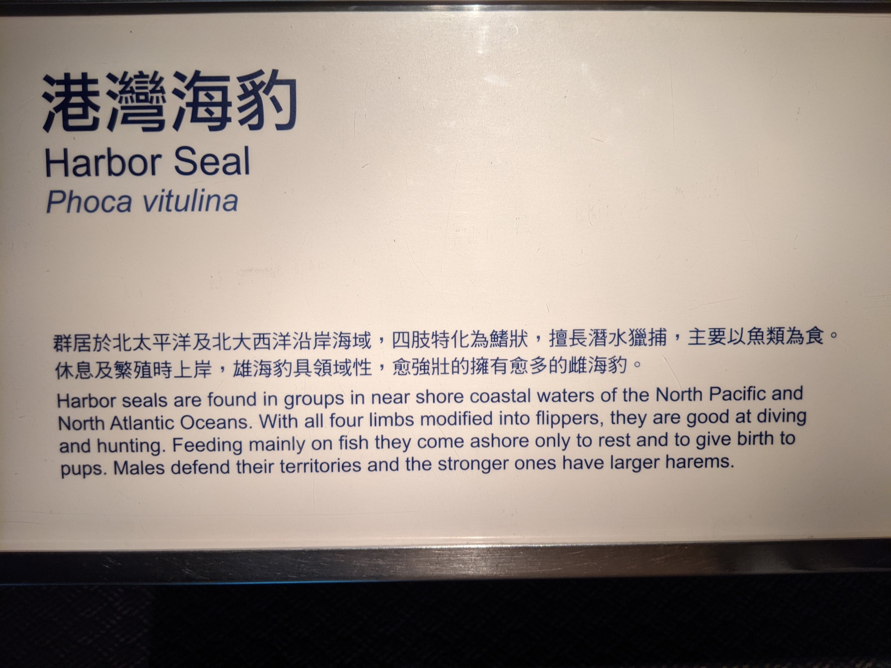 Harbour Seal signage