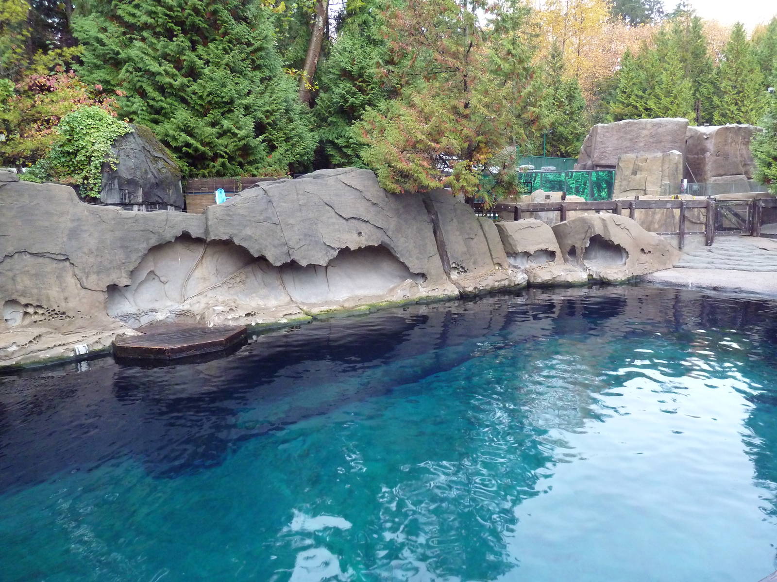 Harbour Seal/Steller's Sea Lion Exhibit