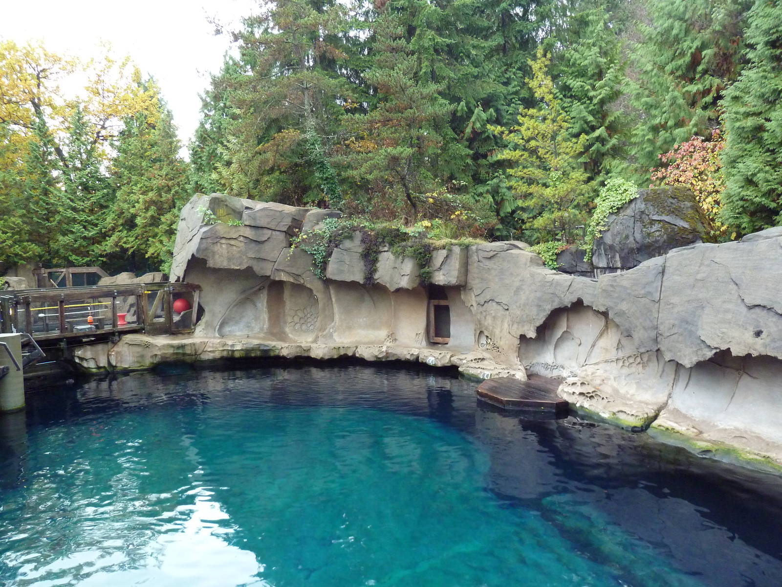 Harbour Seal/Steller's Sea Lion Exhibit