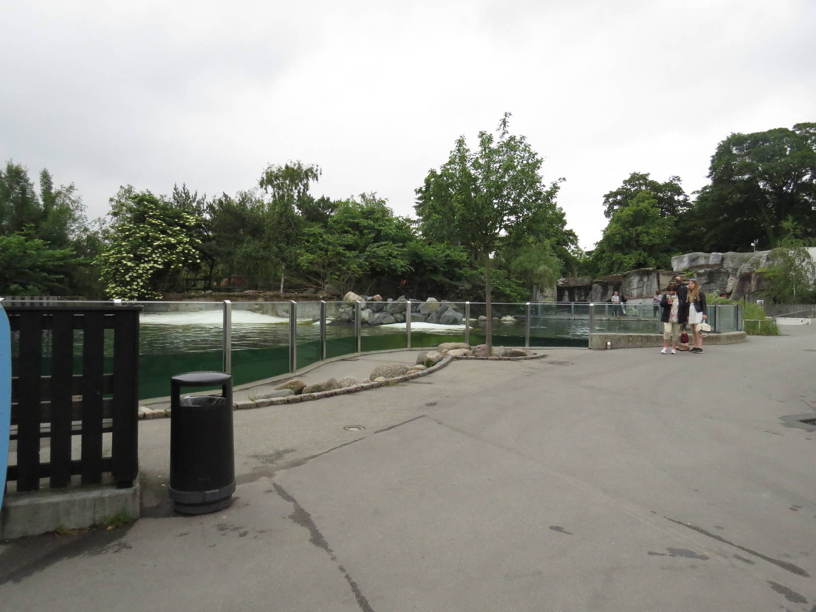 Harbour seal viewing area, June 2015.