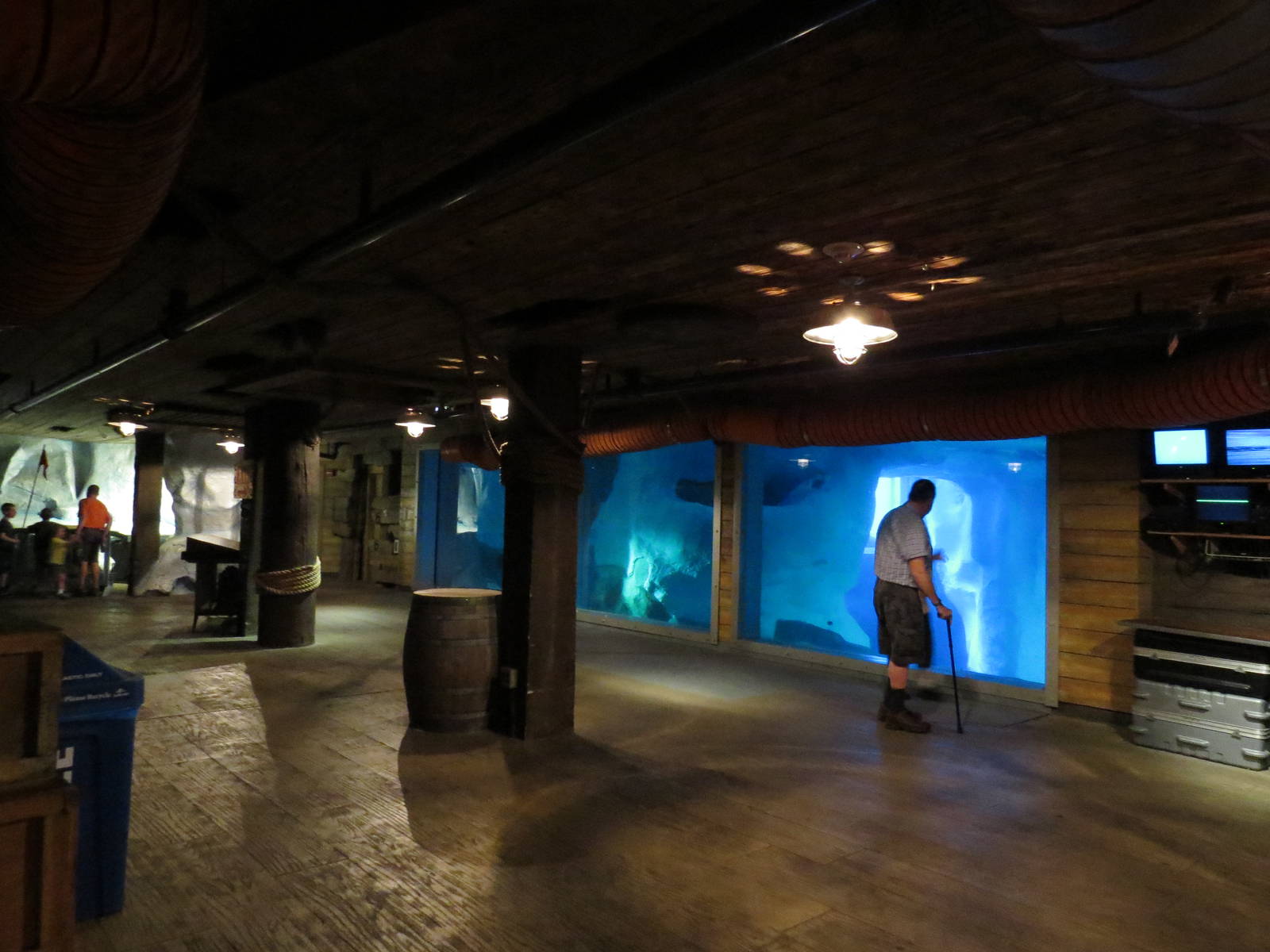 Harbour seal viewing area, March 2015