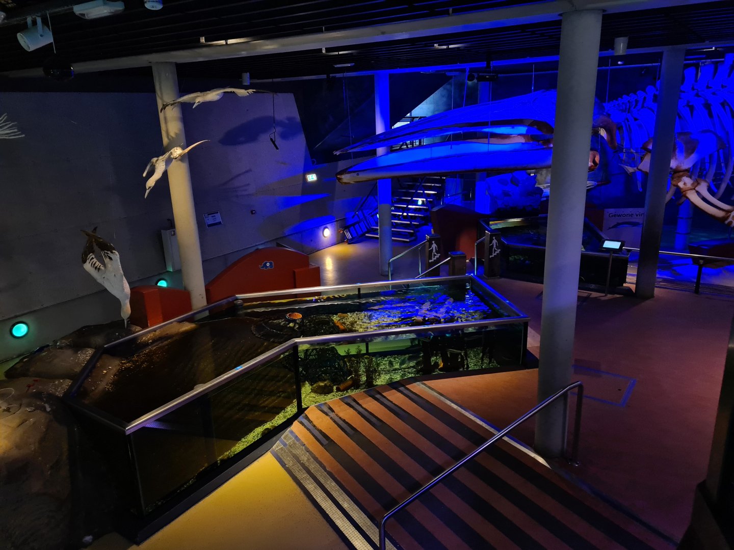 Harbour tank and Dyke tank from above