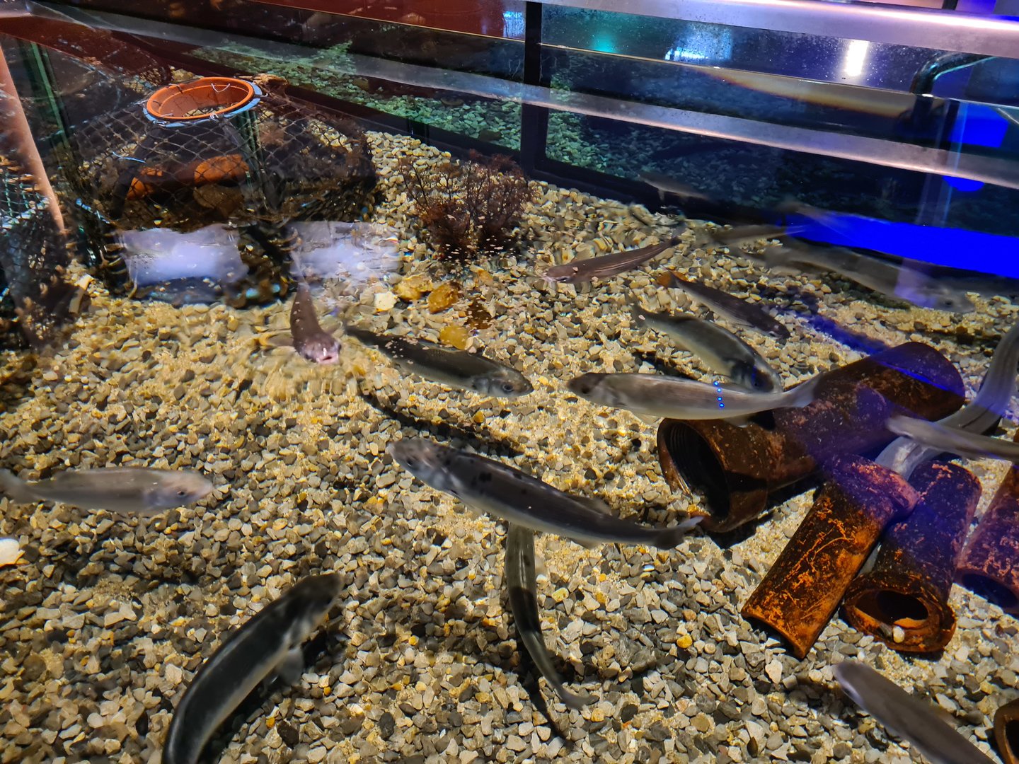 Harbour tank - Top view