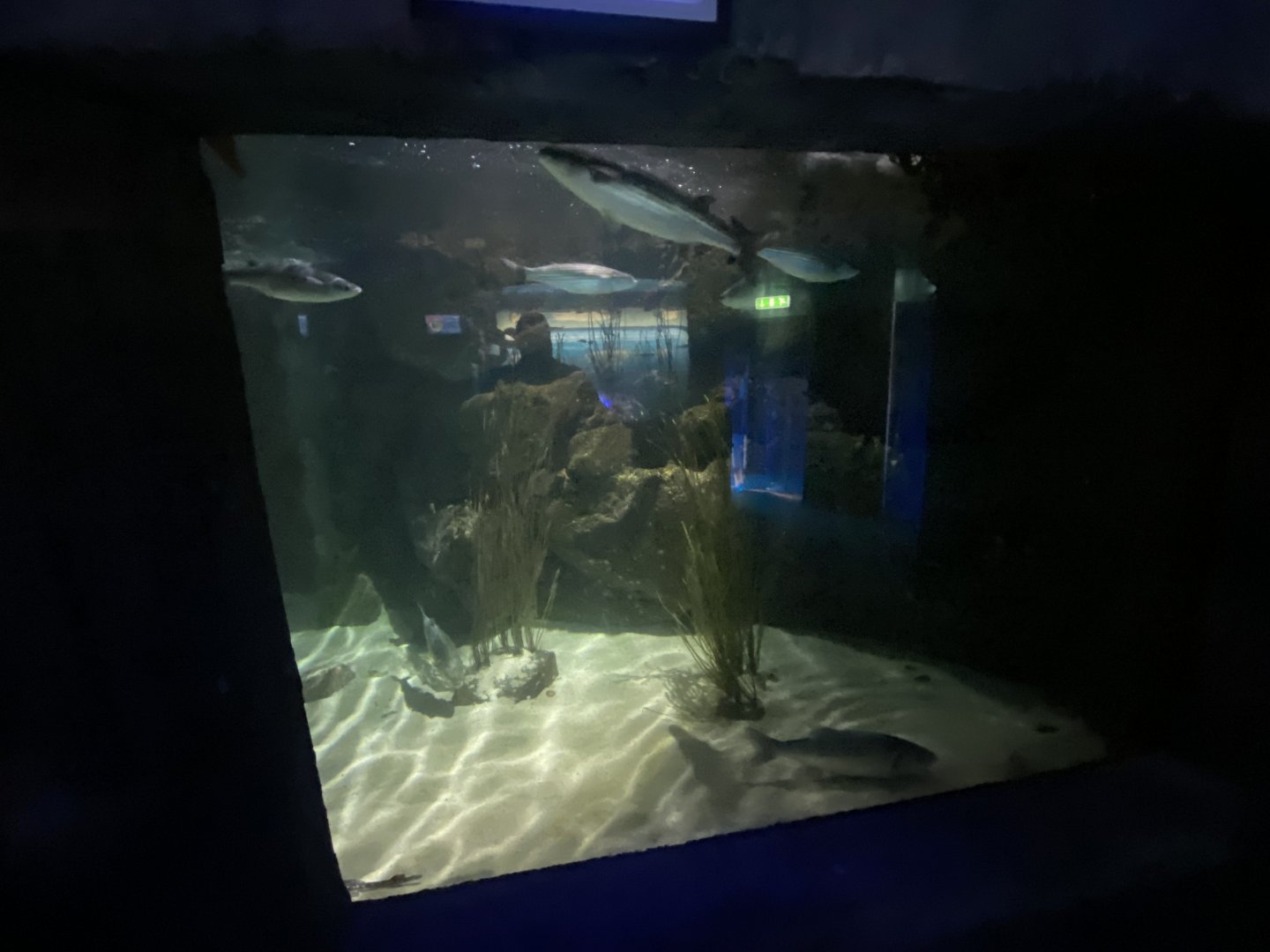 Harbourside tank 060125
