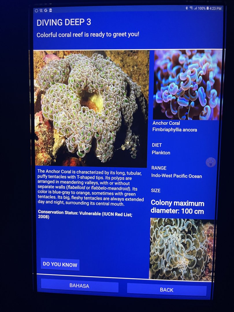 hard coral tank - anchor coral signage