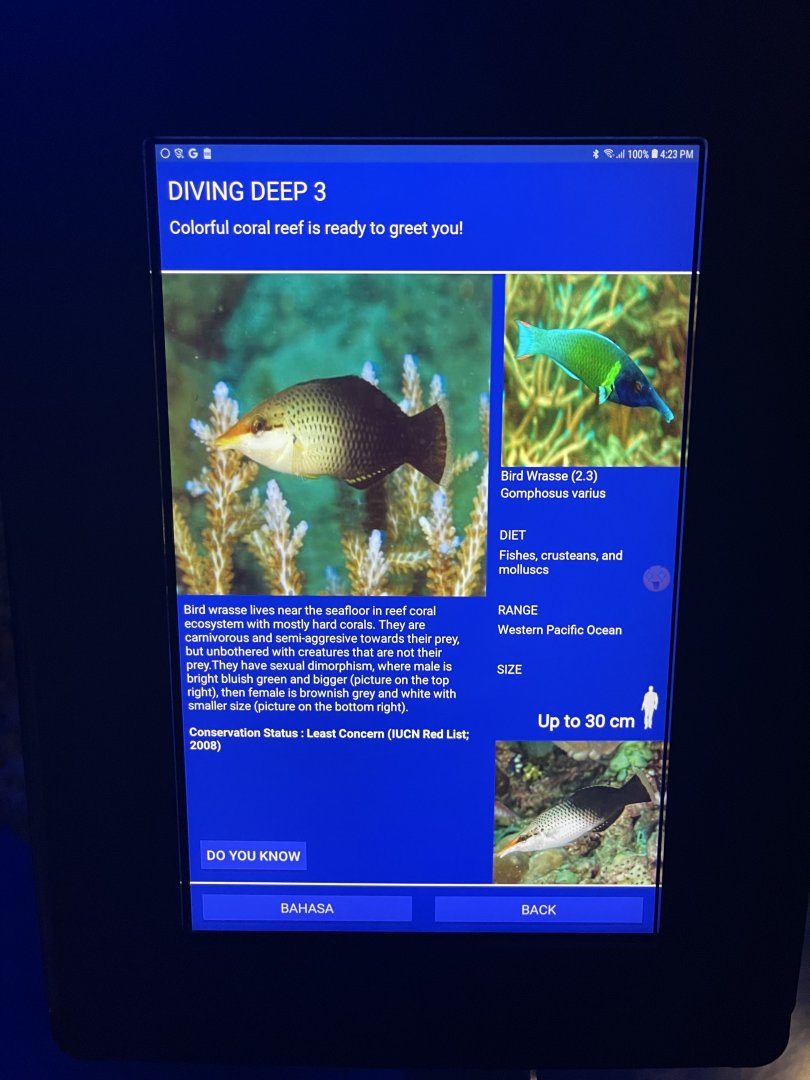 hard coral tank - bird wrasse signage