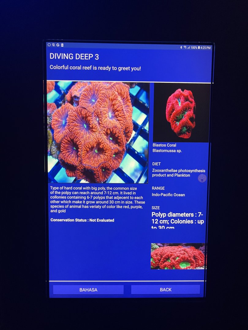 hard coral tank - blastos coral signage