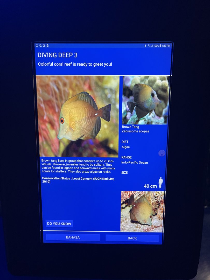 hard coral tank - brown tang signage