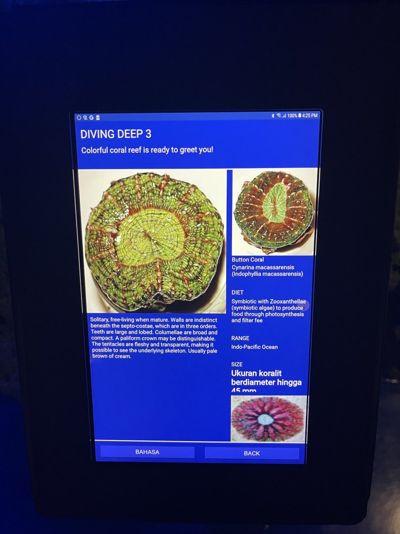 hard coral tank - button coral signage