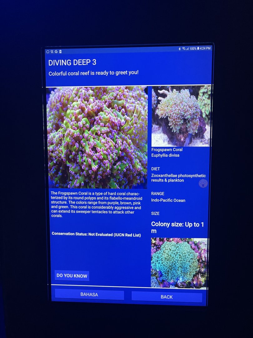 hard coral tank - frogspawn coral signage