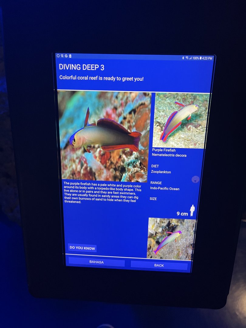 hard coral tank - purple firefish signage