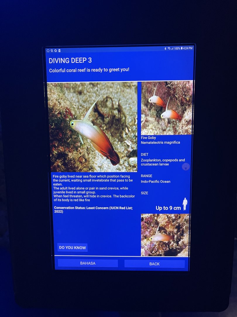 hard coral tank - red fire goby signage