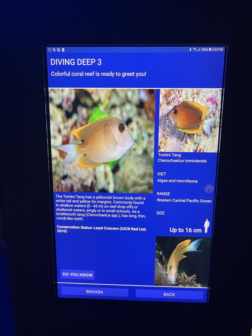 hard coral tank - tomini surgeonfish signage