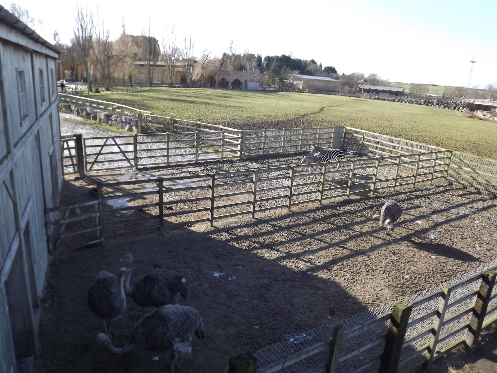 Hardstanding areas at Flamingoland 19/02/12