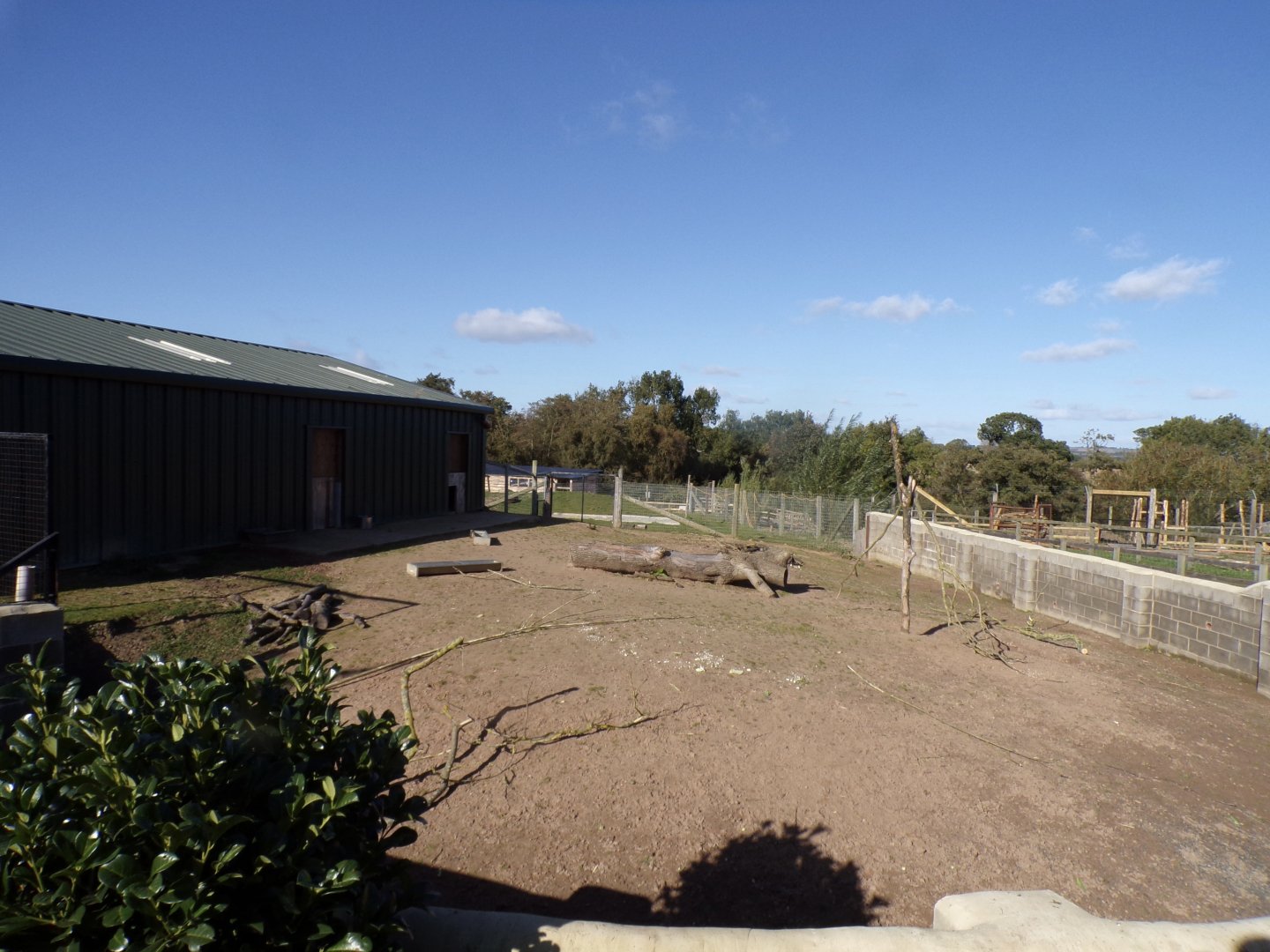 Hardstanding section of capybara and Brazillian tapir enclosure 14.10.23
