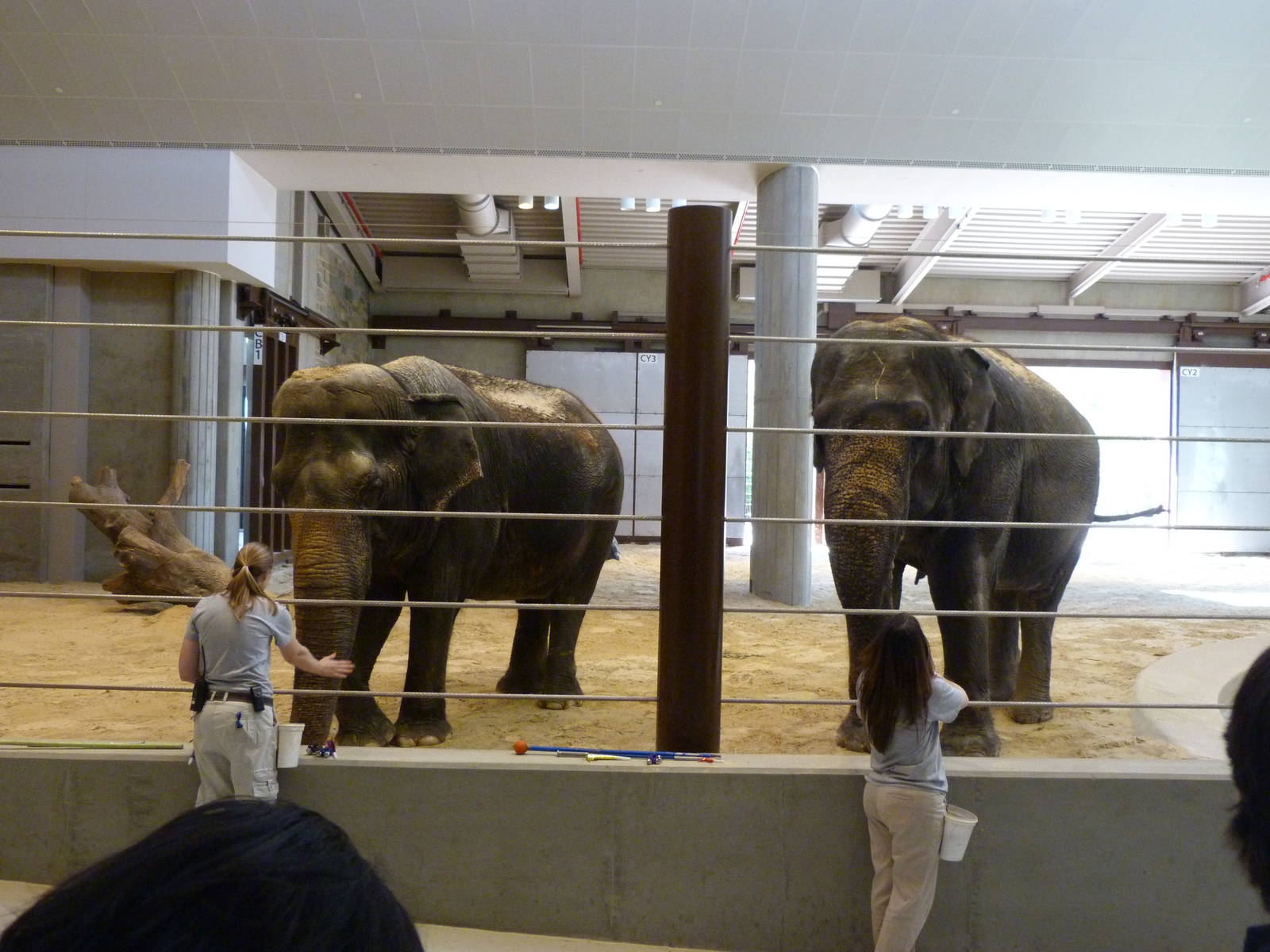 Harmonica Enrichment