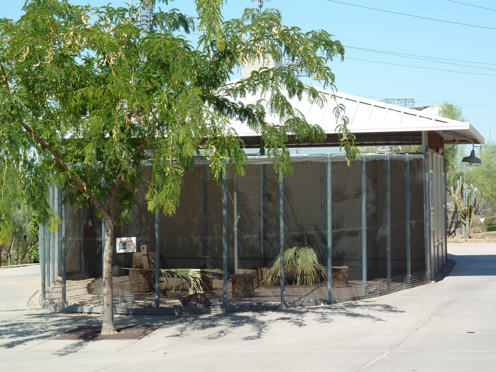 Harmony Farm - Turkey Exhibit
