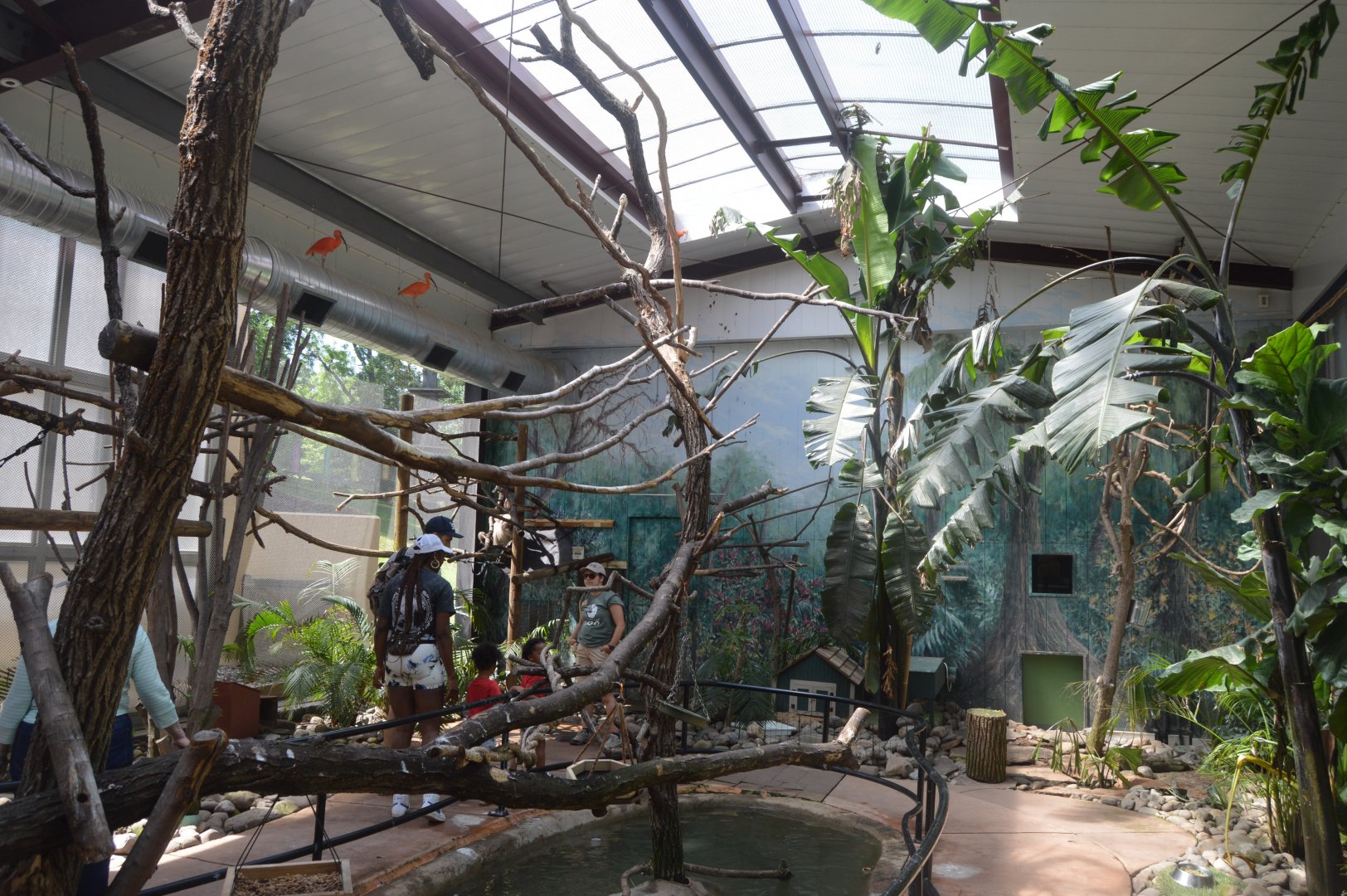 Harmony Hideaway - Overview