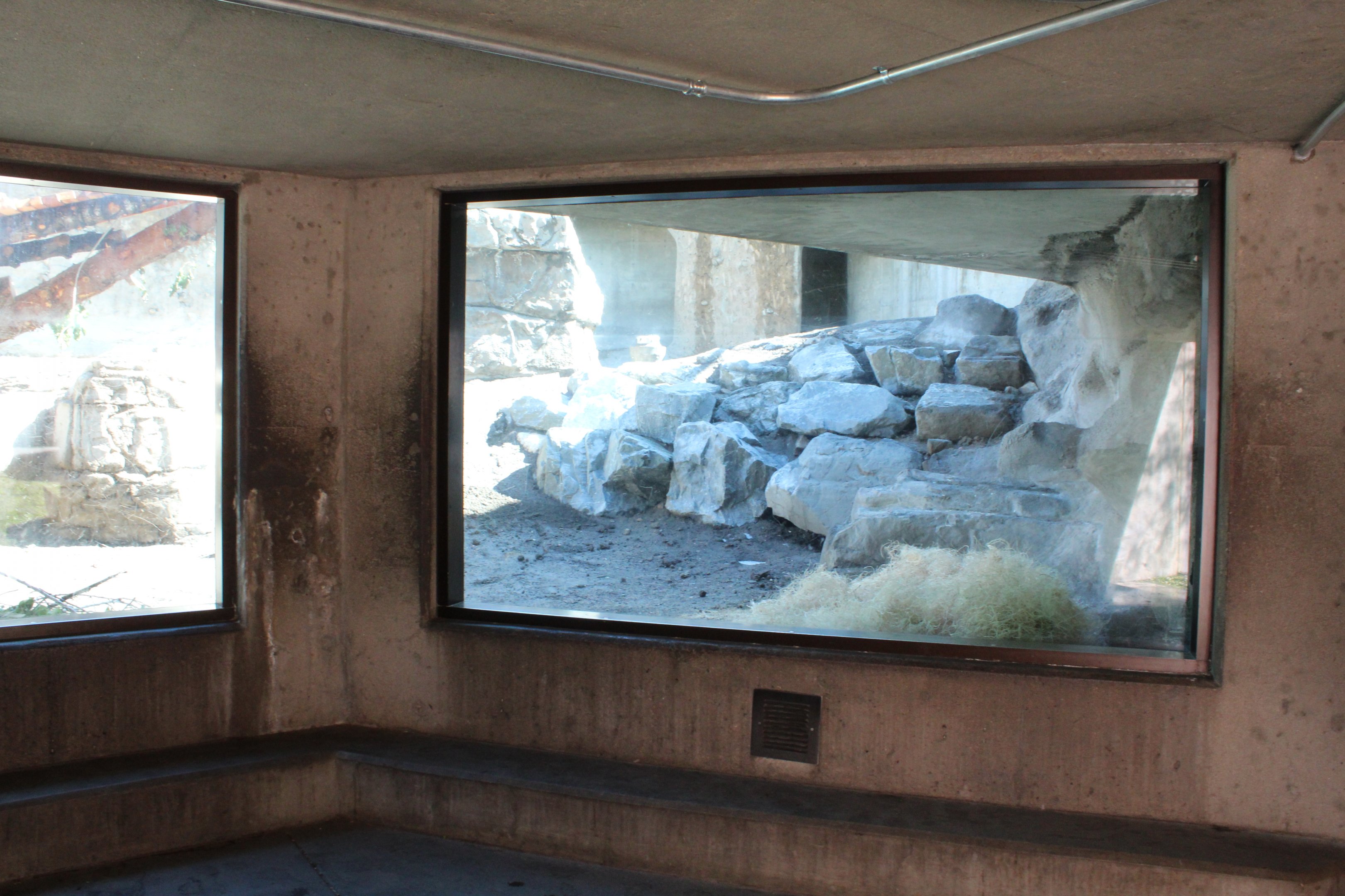 Harmony Hill (new for 2019)