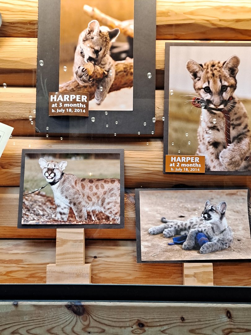 Harper's Baby Pictures! (1/25/25)