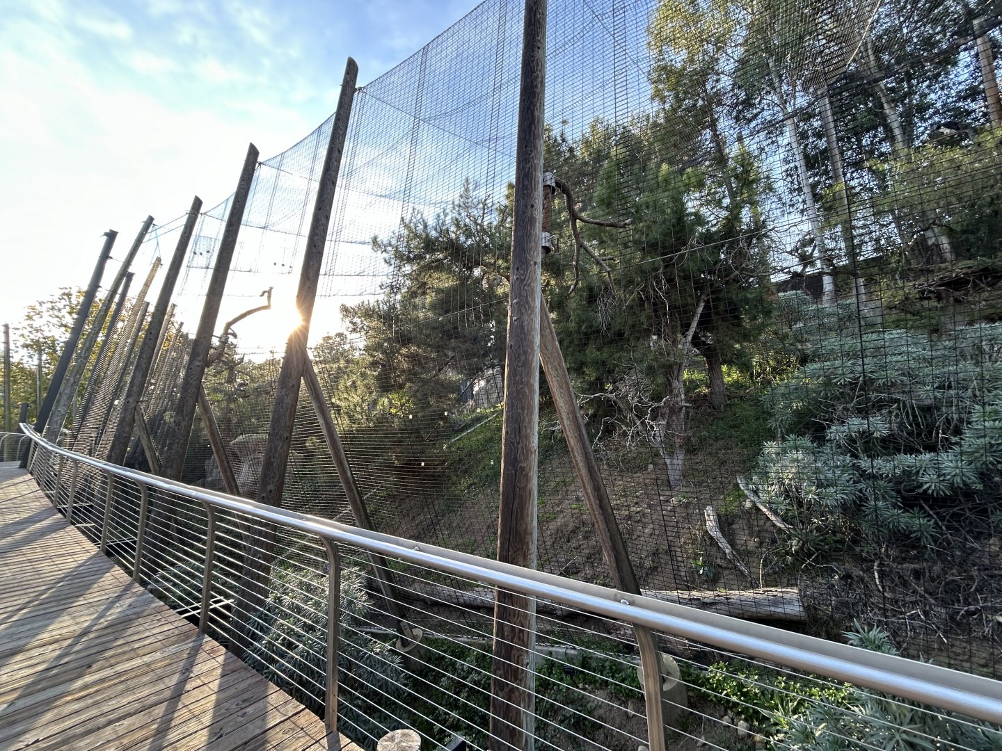 Harpy Eagle Aviary - Eagle Trail