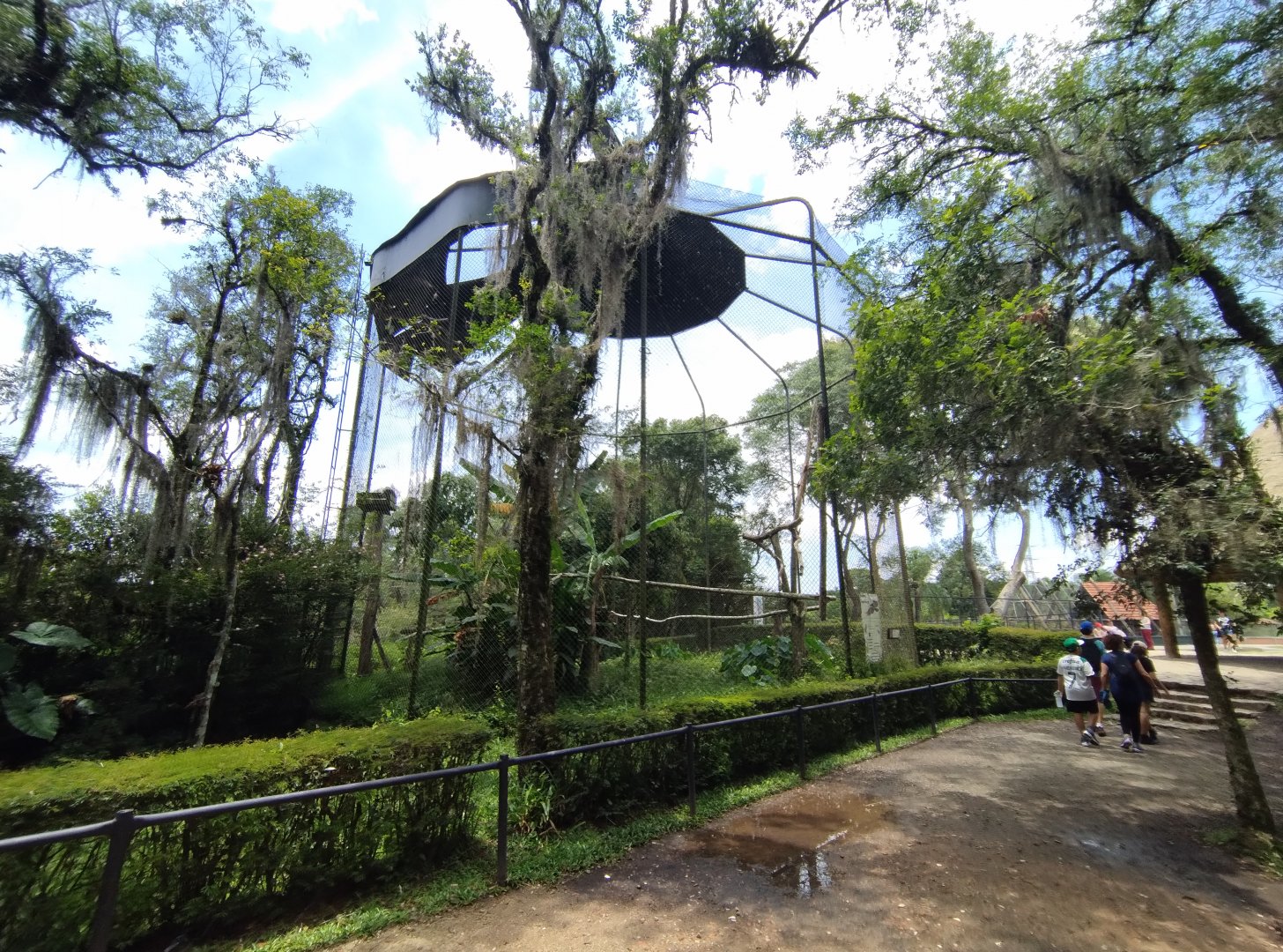 Harpy eagle aviary I - Zoo Curitiba