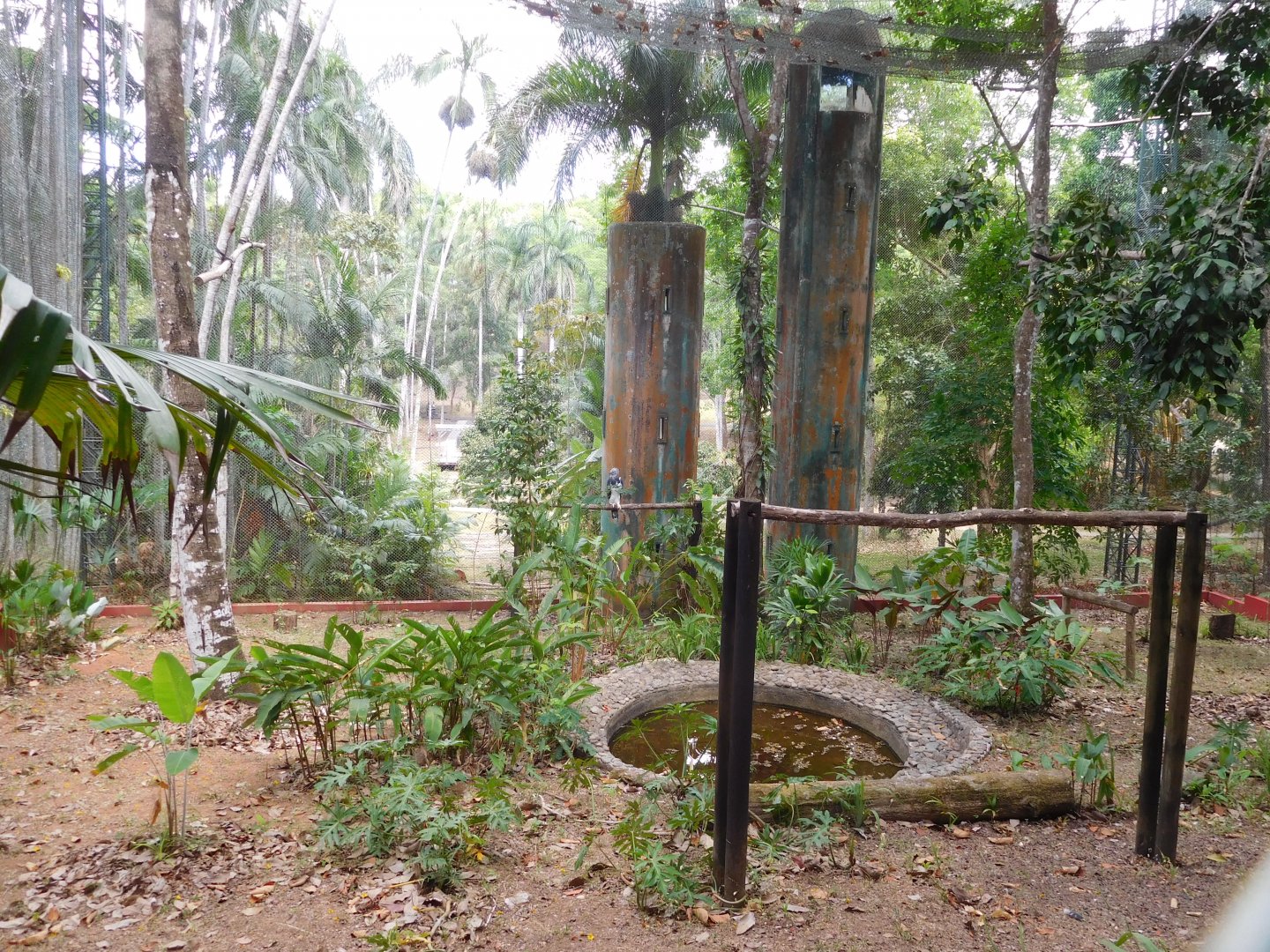 Harpy eagle aviary (lower viewing platform)