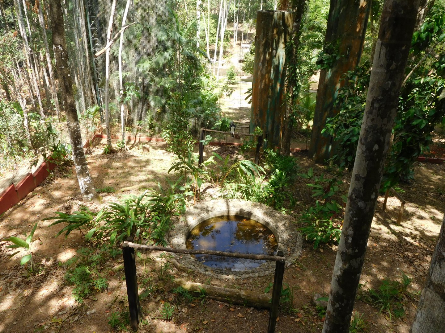 Harpy eagle aviary (upper viewing platform)