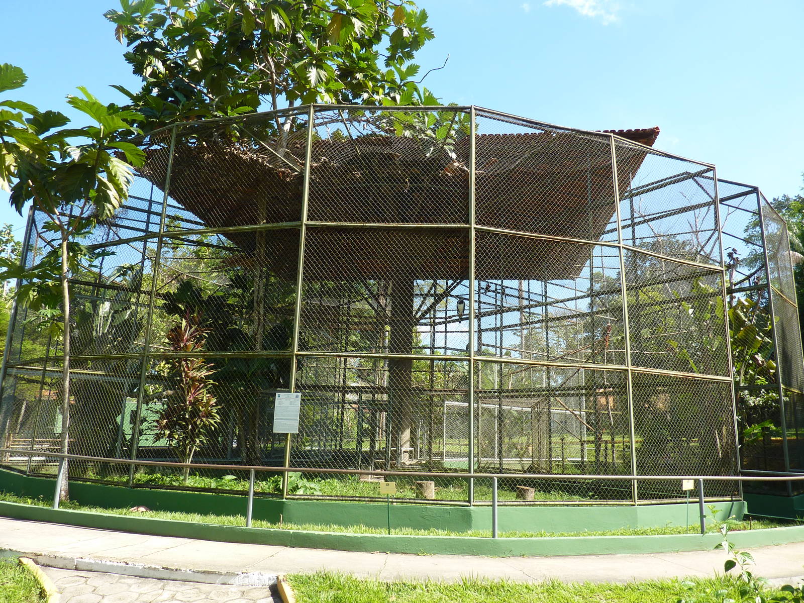 Harpy eagle enclosure