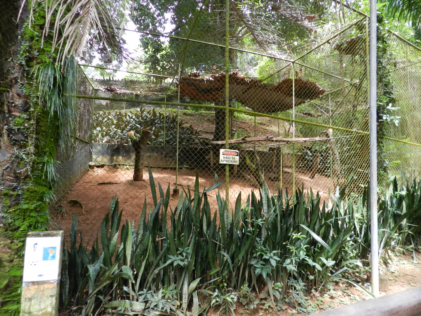 Harpy eagle exhibit - Salvador zoo (PZGV)