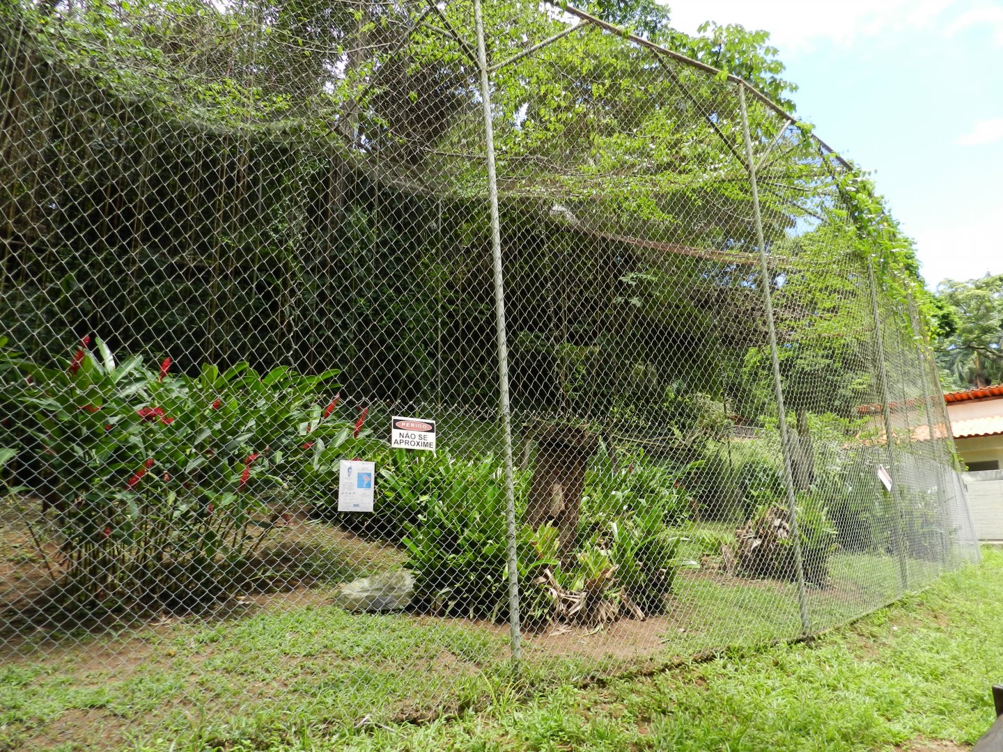 Harpy eagle exhibit - Salvador zoo (PZGV)