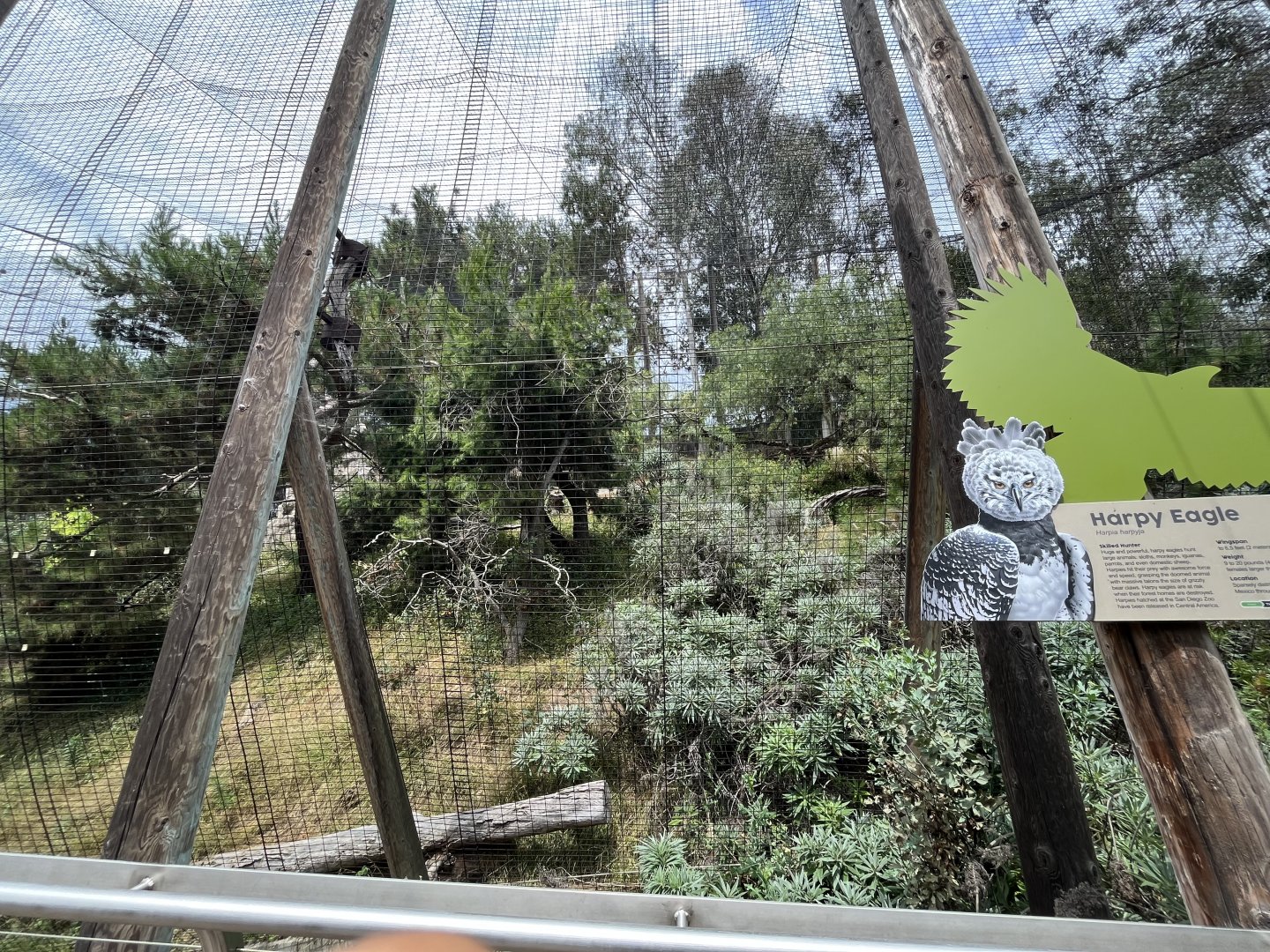 Harpy Eagle Exhibit