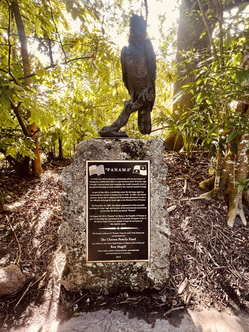 Harpy Eagle Memorial