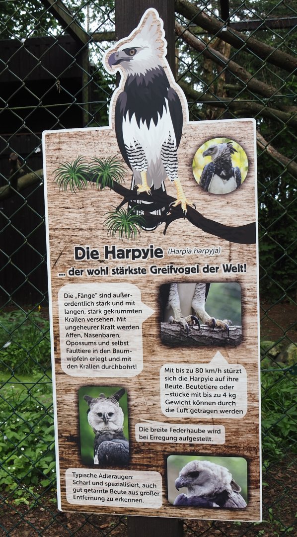 Harpy eagle signage, 2024-05-21